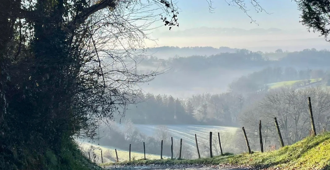 Nature forêt