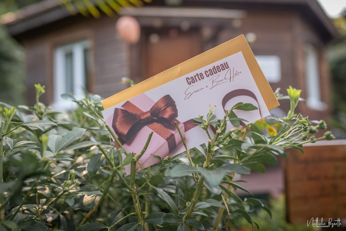 Carte cadeau Bien-Hêtre glissée dans un feuillage, devant un hébergement en bois, illustrant une idée cadeau bien-être en pleine nature.