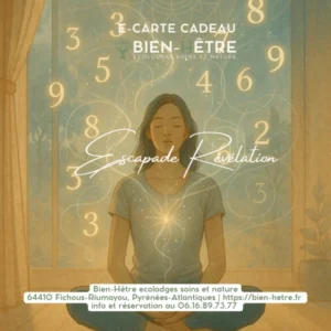 E carte cadeau escapade révélation